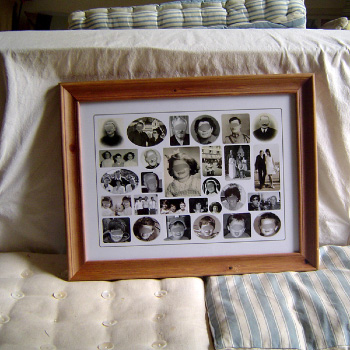 Tableau Gnalogique Classique Arbre gnalogique mmoire photos de famille anciennes